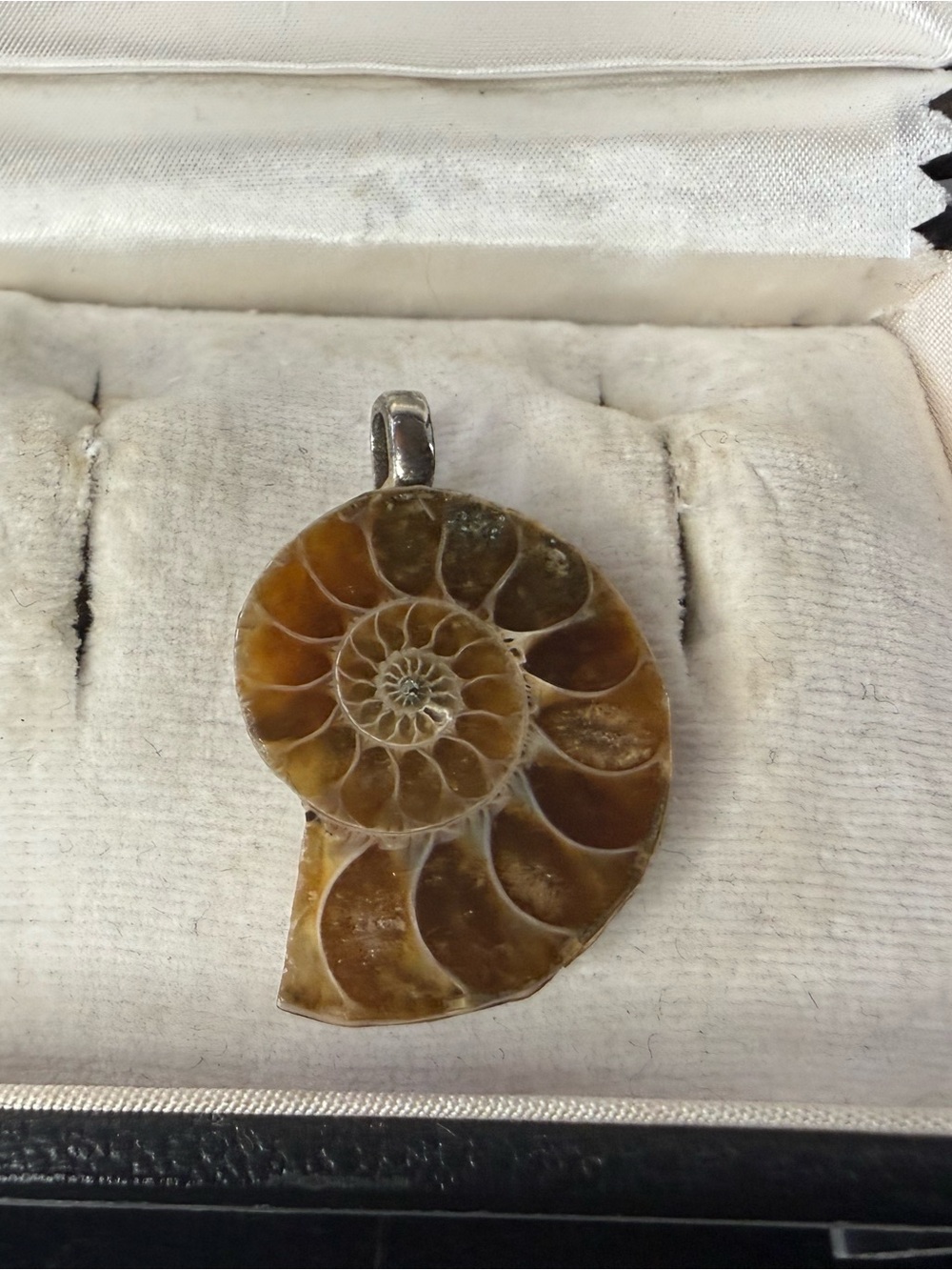 Ammonite Fossil Pendant Necklace